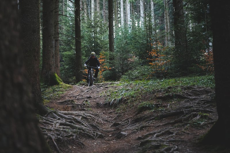 Off-the-Grid Trails